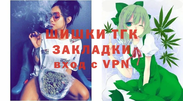 шишки Вяземский